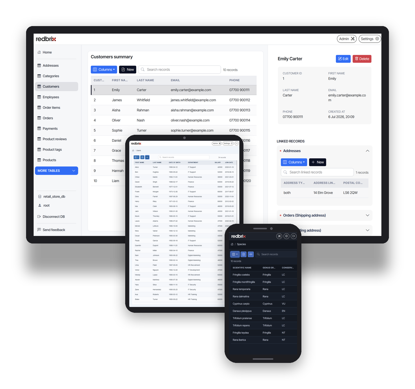 Redbrix running on desktop, tablet and mobile devices